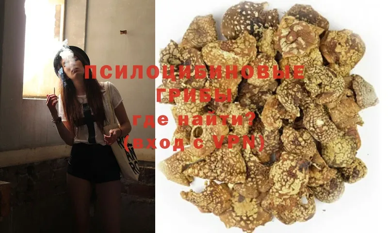 ОМГ ОМГ рабочий сайт  магазин продажи   Полтавская  Псилоцибиновые грибы GOLDEN TEACHER 